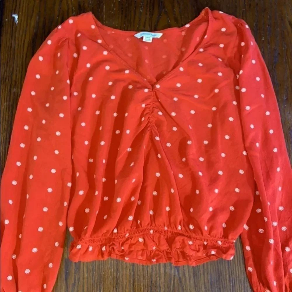 American eagle long sleeve v neck blouse